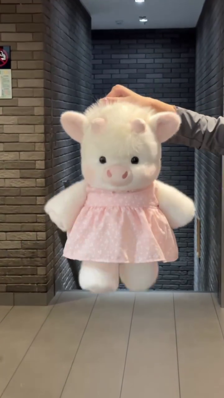 🐷💖 Premium Cute Plush Pig Soft Toy in Pink Dress