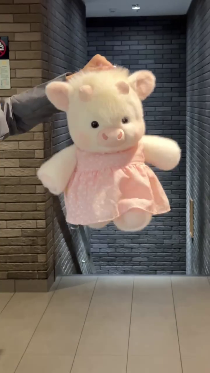 🐷💖 Premium Cute Plush Pig Soft Toy in Pink Dress